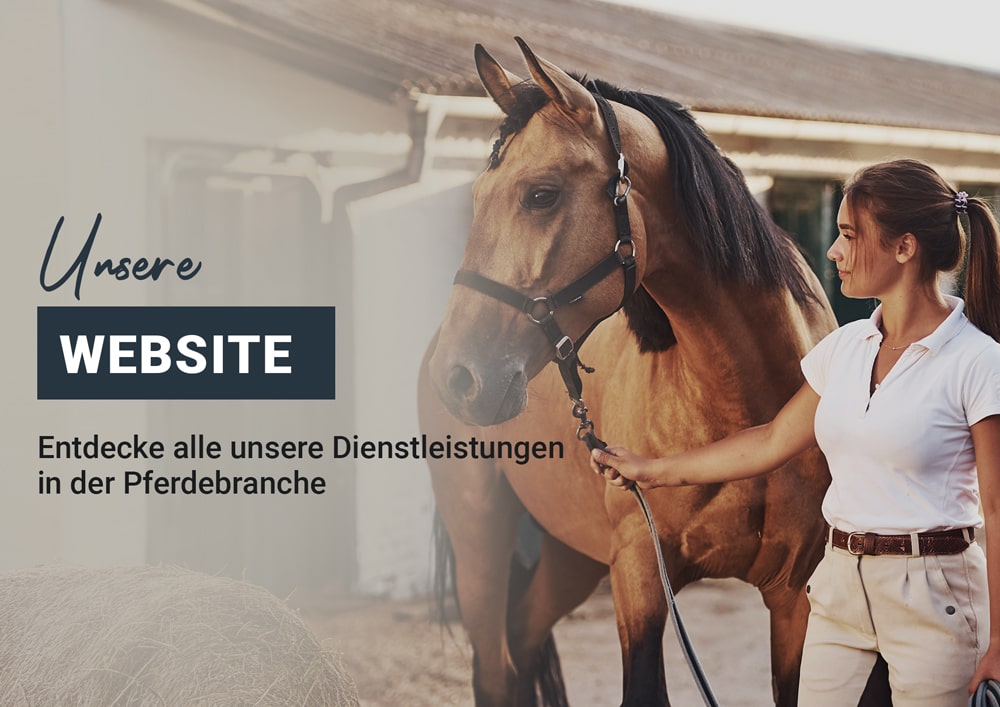 Linktree-unsere-website-min